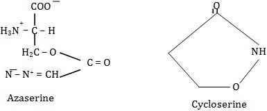 azaserine and cycloserine